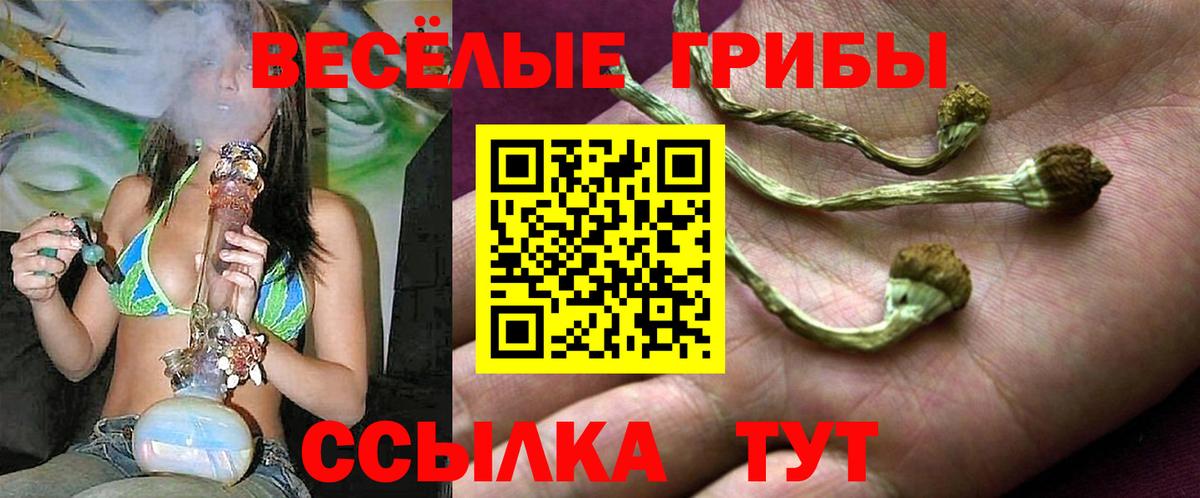 Верхний Уфалей  Галлюциногенные грибы Psilocybine cubensis  Галлюциногенные грибы прущие грибы  Вход с VPN 